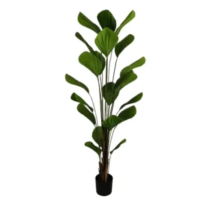Premium Quality Artificial Plants
