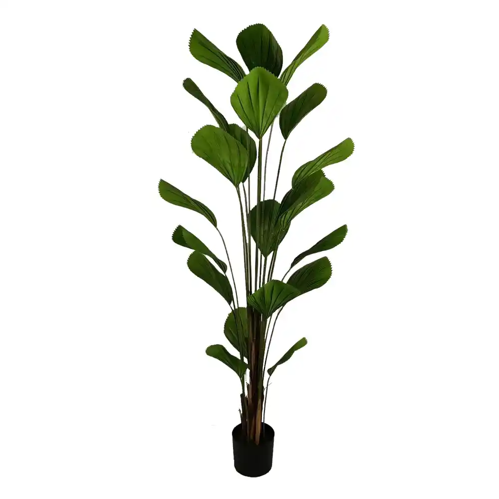 Premium Quality Artificial Plants