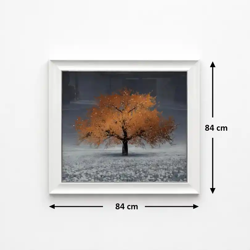 Premium Quality Wall Art