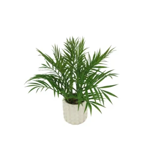 Premium Quality Artificial Plants