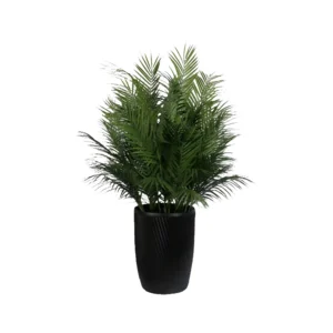 Premium Quality Artificial Plants