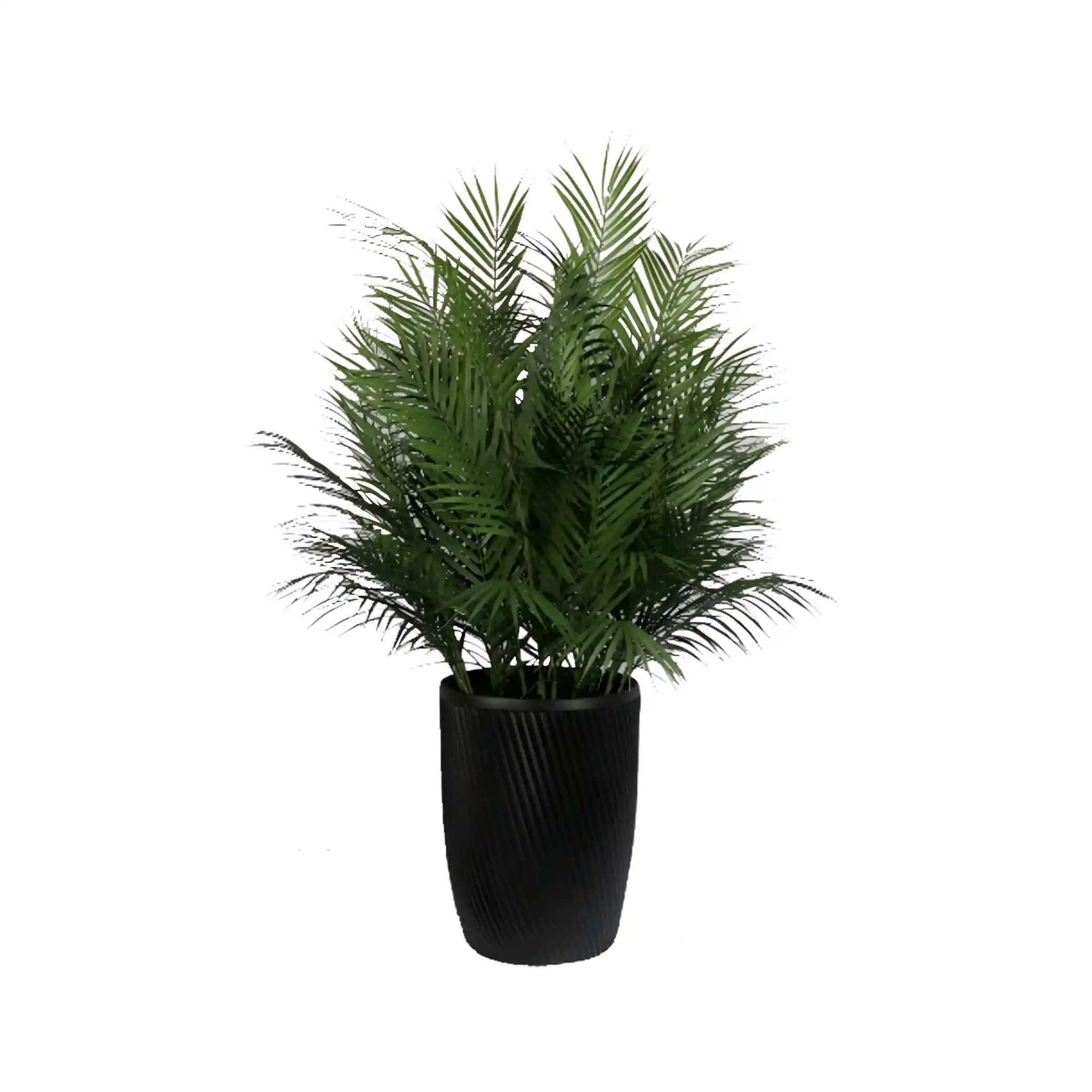 Premium Quality Artificial Plants