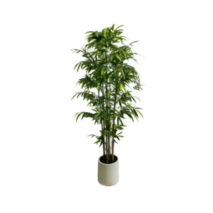 Premium Quality Artificial Plants