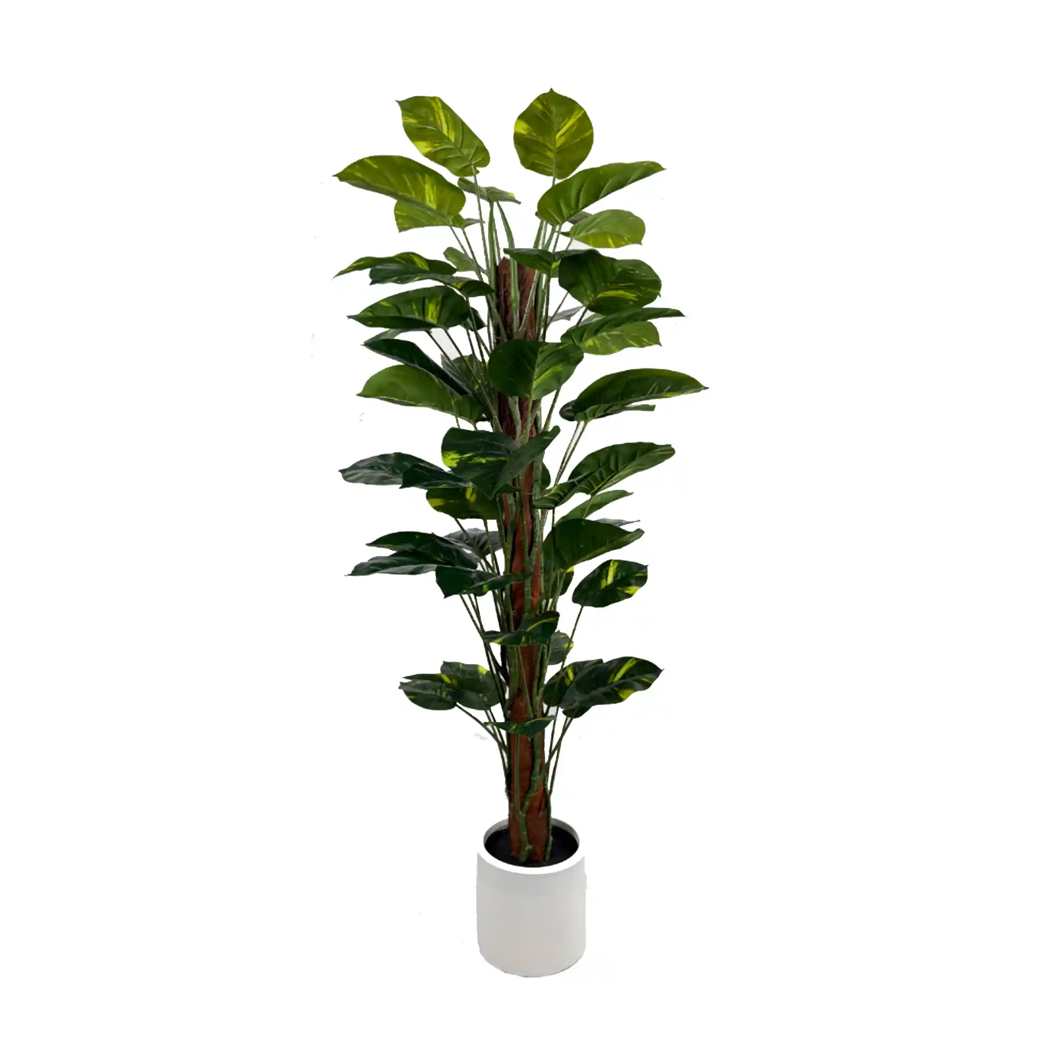 Premium Quality Artificial Plants