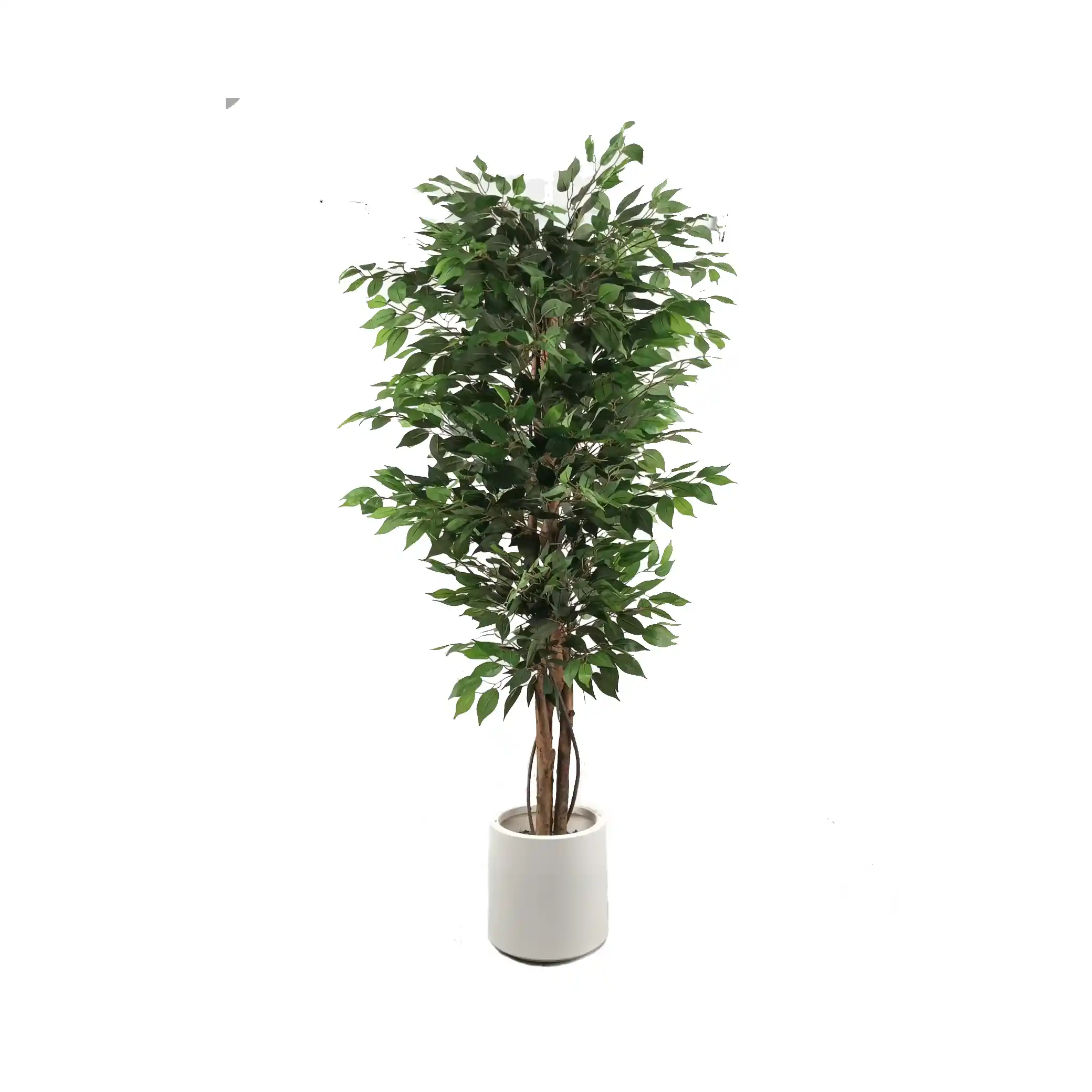 Premium Quality Artificial Plants