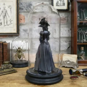 11849 - Crow Lady in Glass Dome